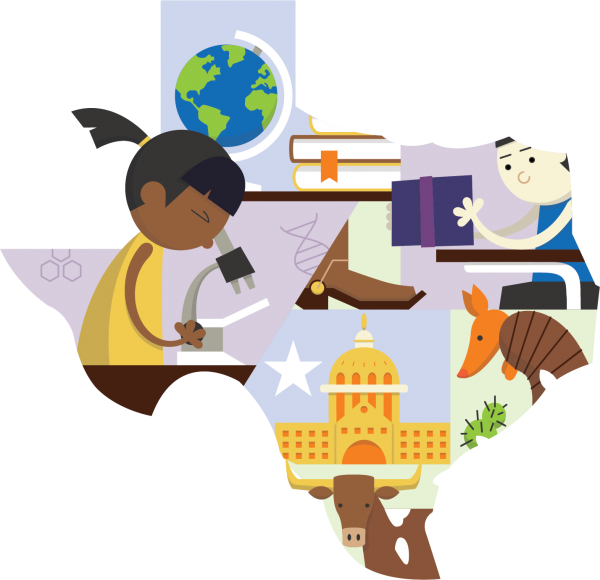 Texas Education Agency School District Ratings – Tarrant County header image.