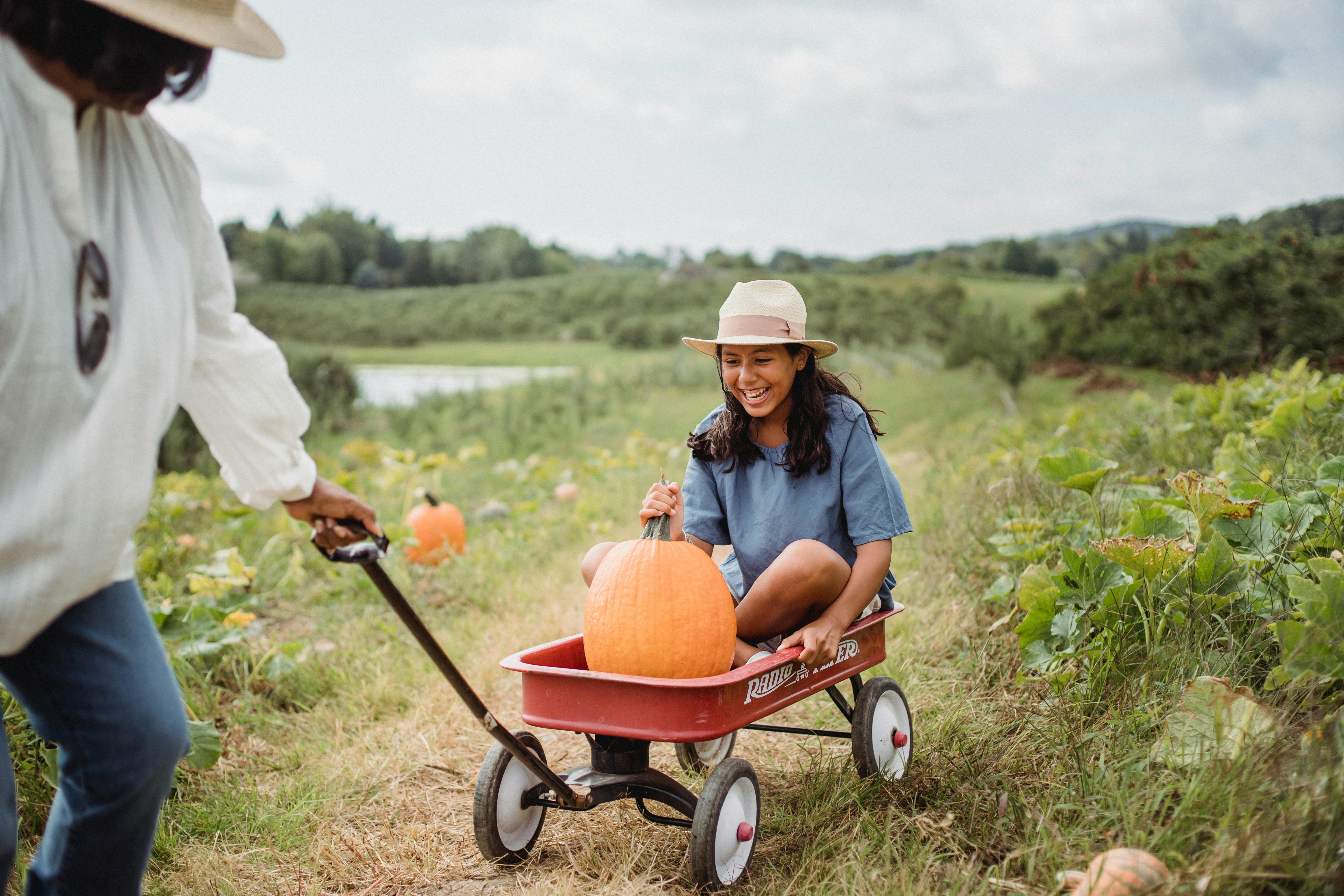 October Events and Activities in Grapevine, Colleyville, and Southlake header image.