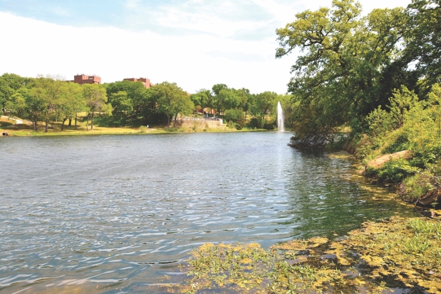 Grapevine’s Settlers Park On Track To Finish First Phase header image.