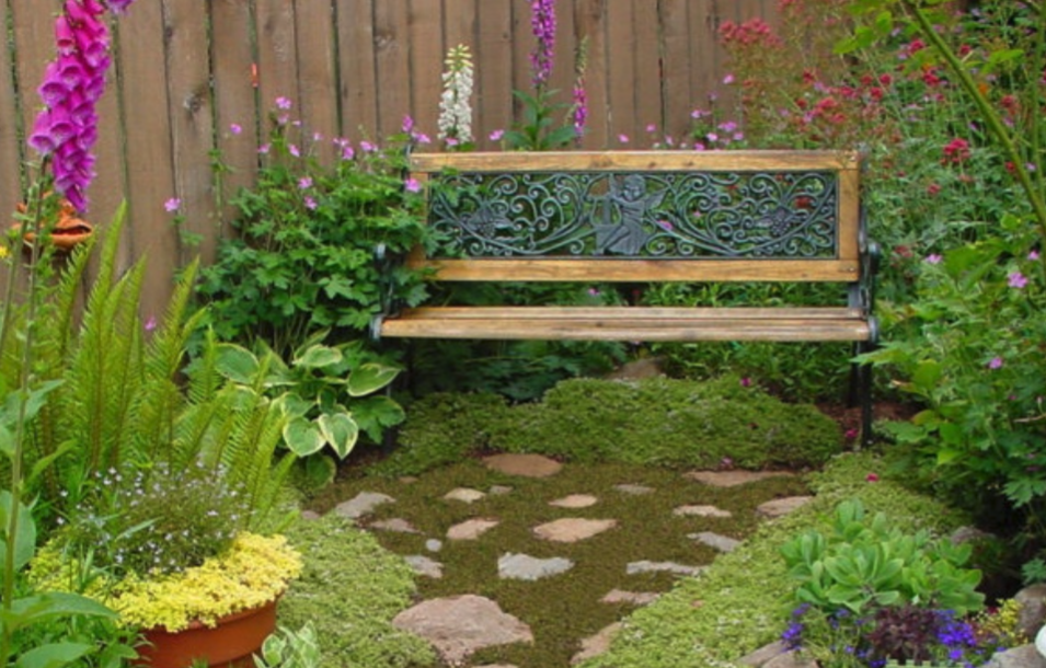 Ground Covers That Thrive in the Pacific Northwest header image.