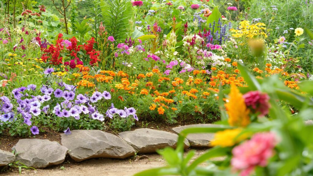 10 Plants That Thrive with Nearly No Effort! header image.