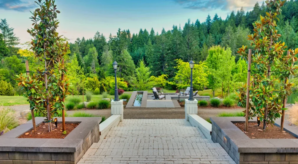 Beautiful Trees That Fit Smaller Northwest Yards header image.