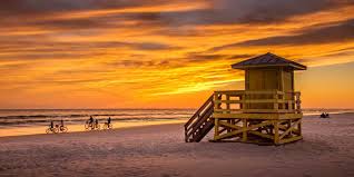Sarasota County Real Estate Market Update May 2026 | Trends for Buyers & Sellers header image.