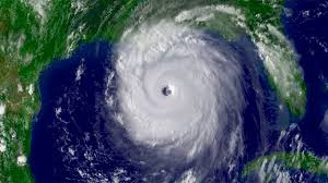 Hurricane Preparedness for Florida Homeowners: What Every Sarasota Resident Should Know header image.