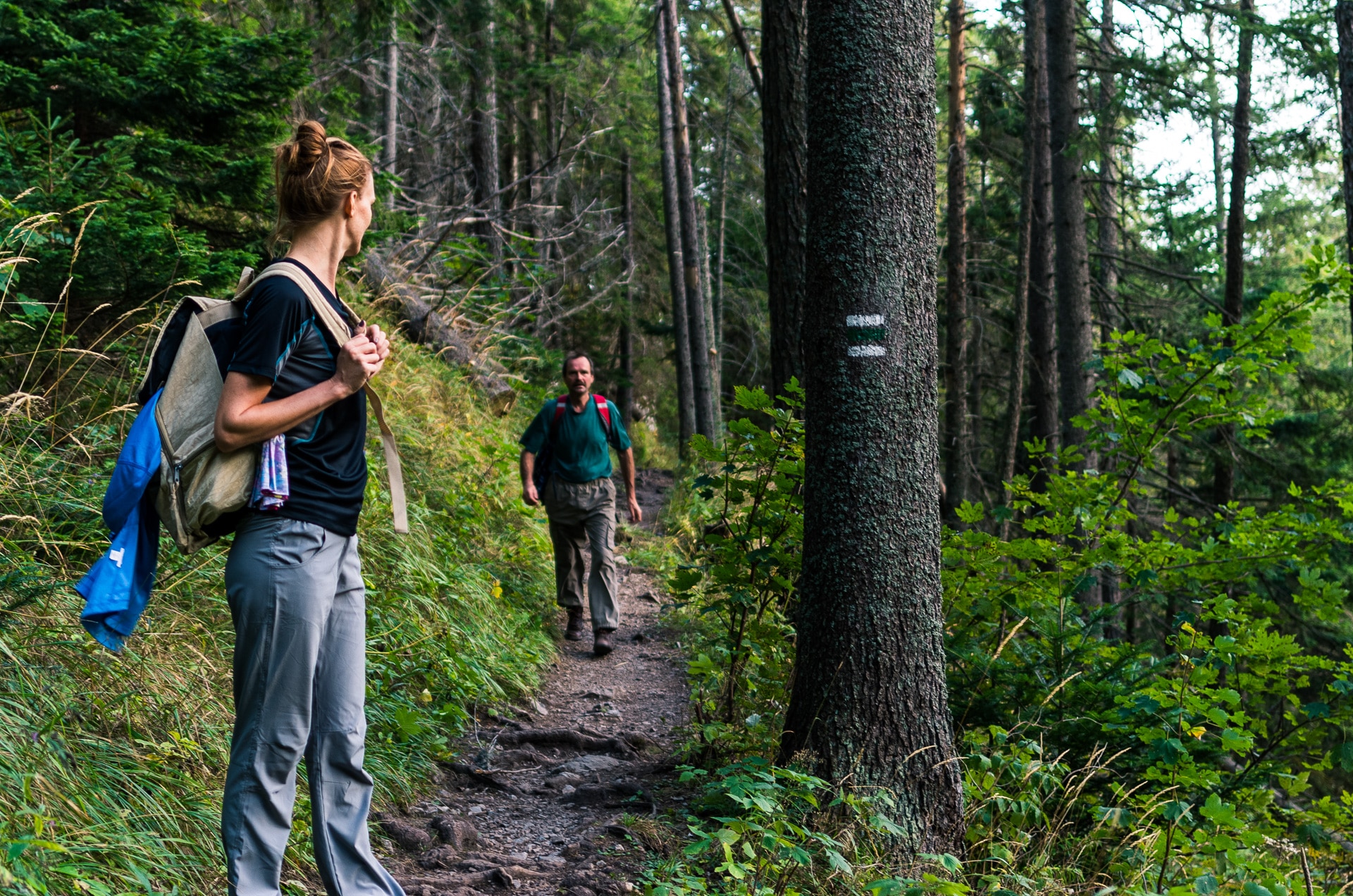 Hiking trail