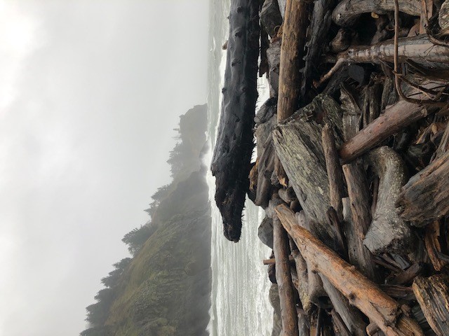 Things to do around Seattle for Winter Break header image.