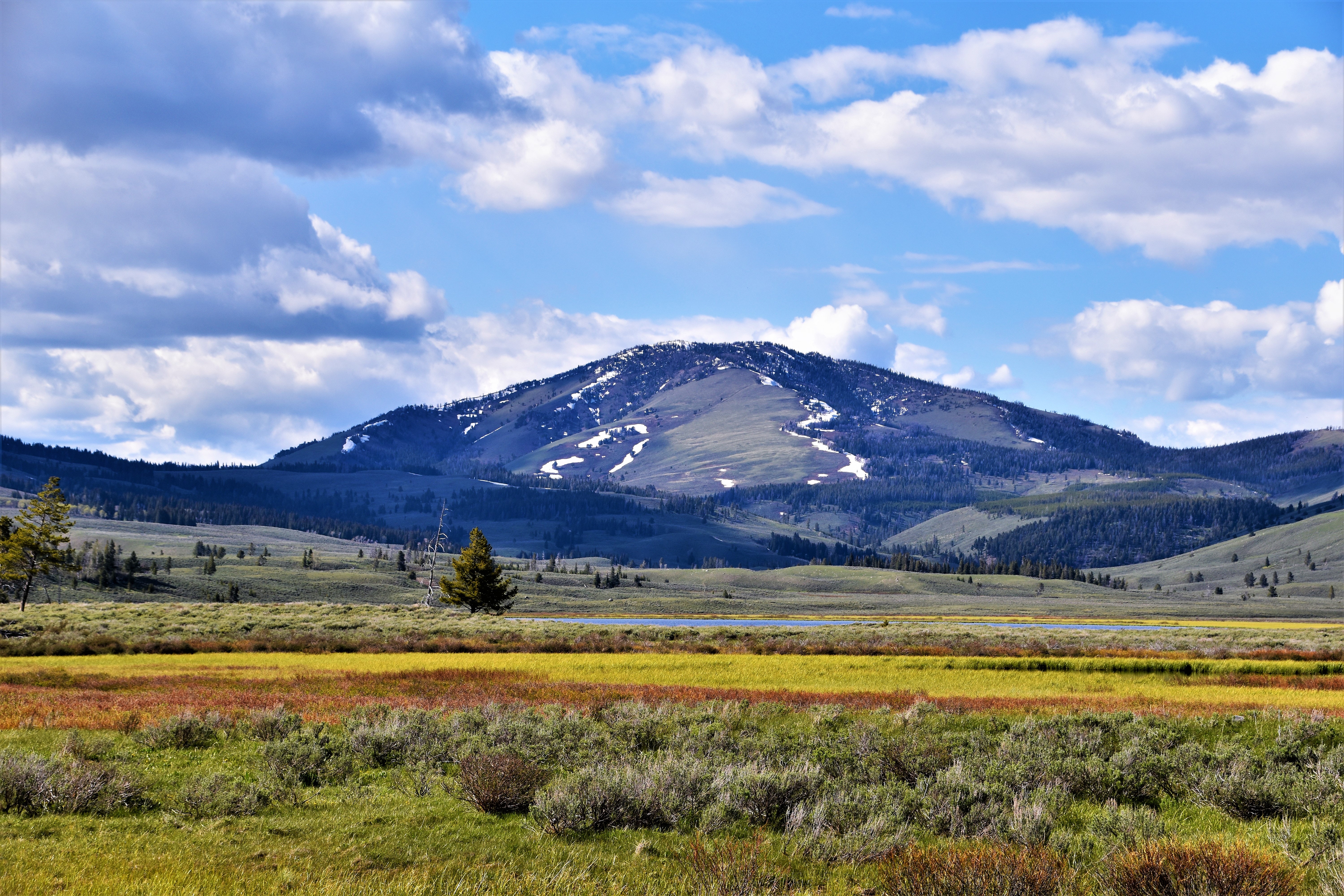 It's a Great Time to Sell in Western Montana header image.
