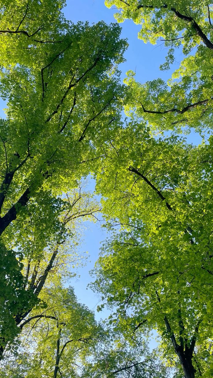 New Development coming to Argyle, TX! header image.