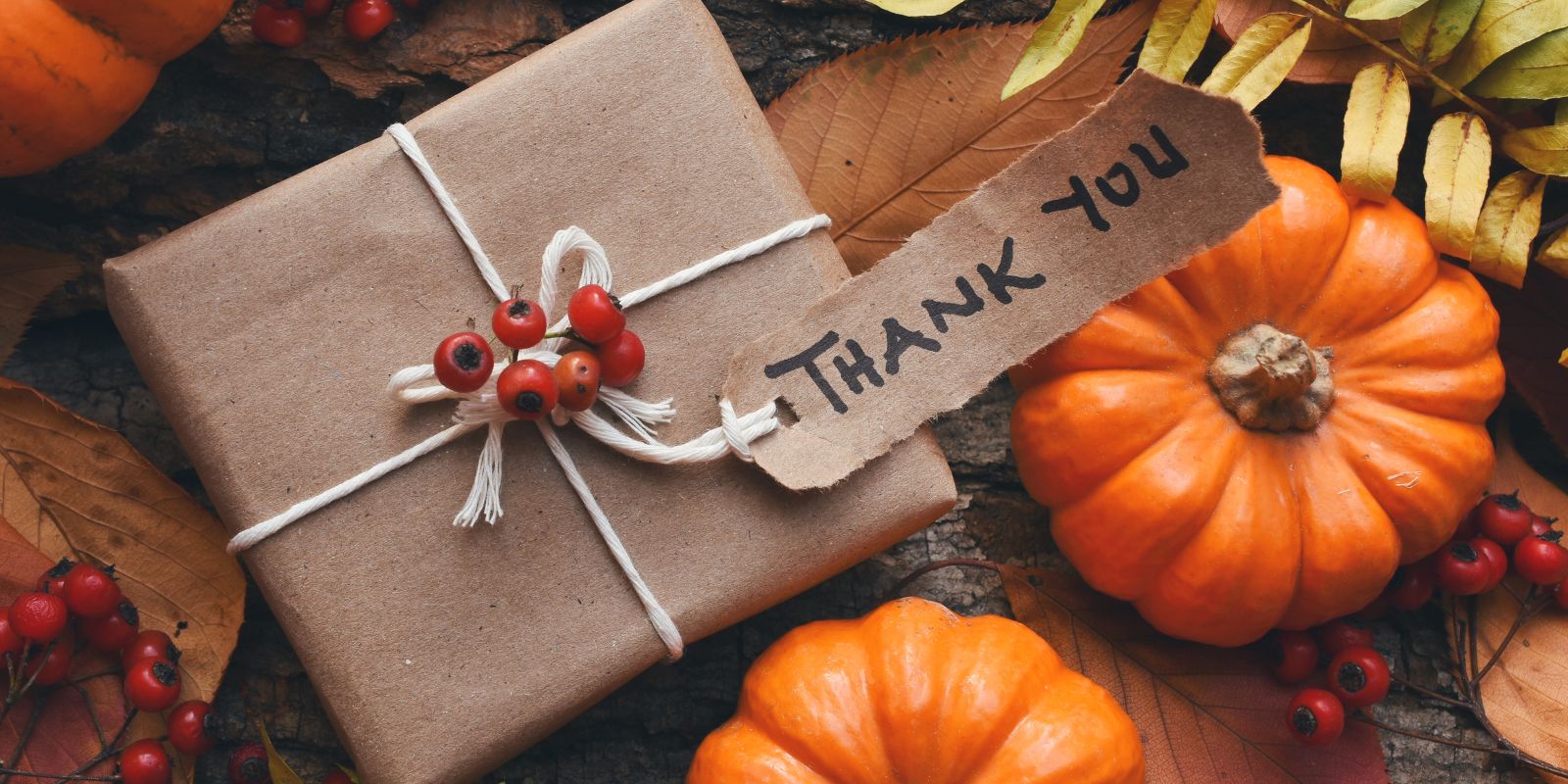 Transform Your Home with These Thanksgiving Decor Ideas header image.