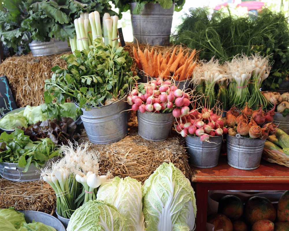 7 Ways to Support Local Small Businesses in West Seattle header image.