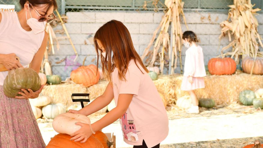 Hampton Road's Best Pumpkin Patches header image.