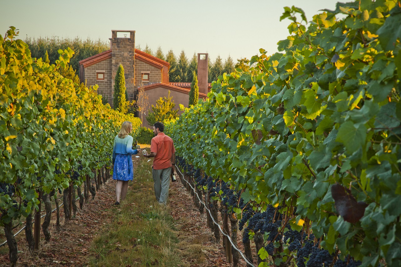 Raise Your Glass for a Virtual Cheers header image.