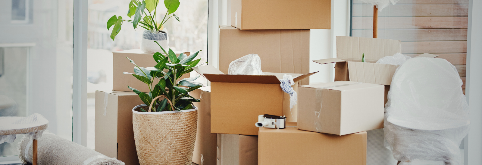 The Ultimate Guide to Moving to Chico: Everything You Need to Know header image.