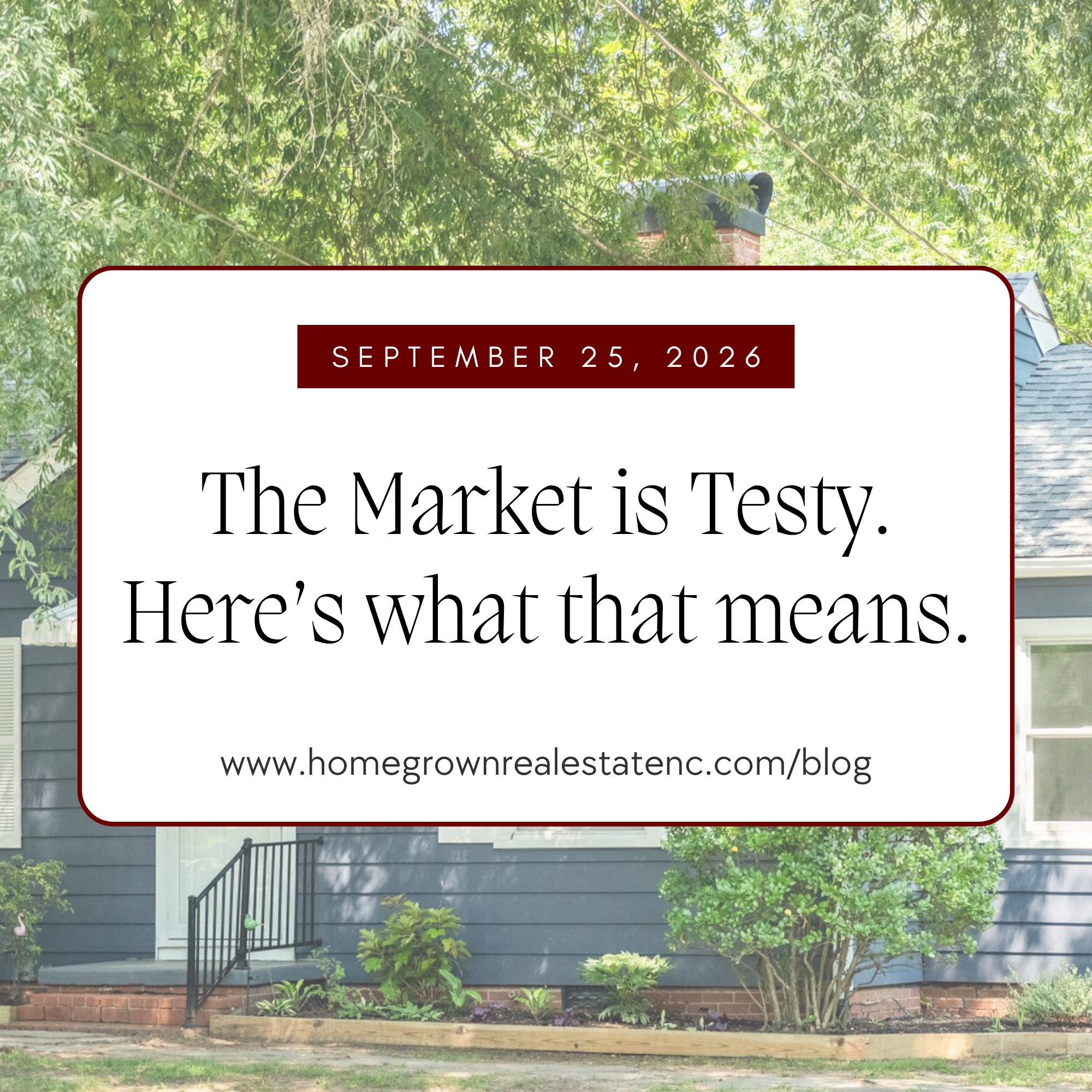 The Market Is Testy. Here’s What That Means. header image.