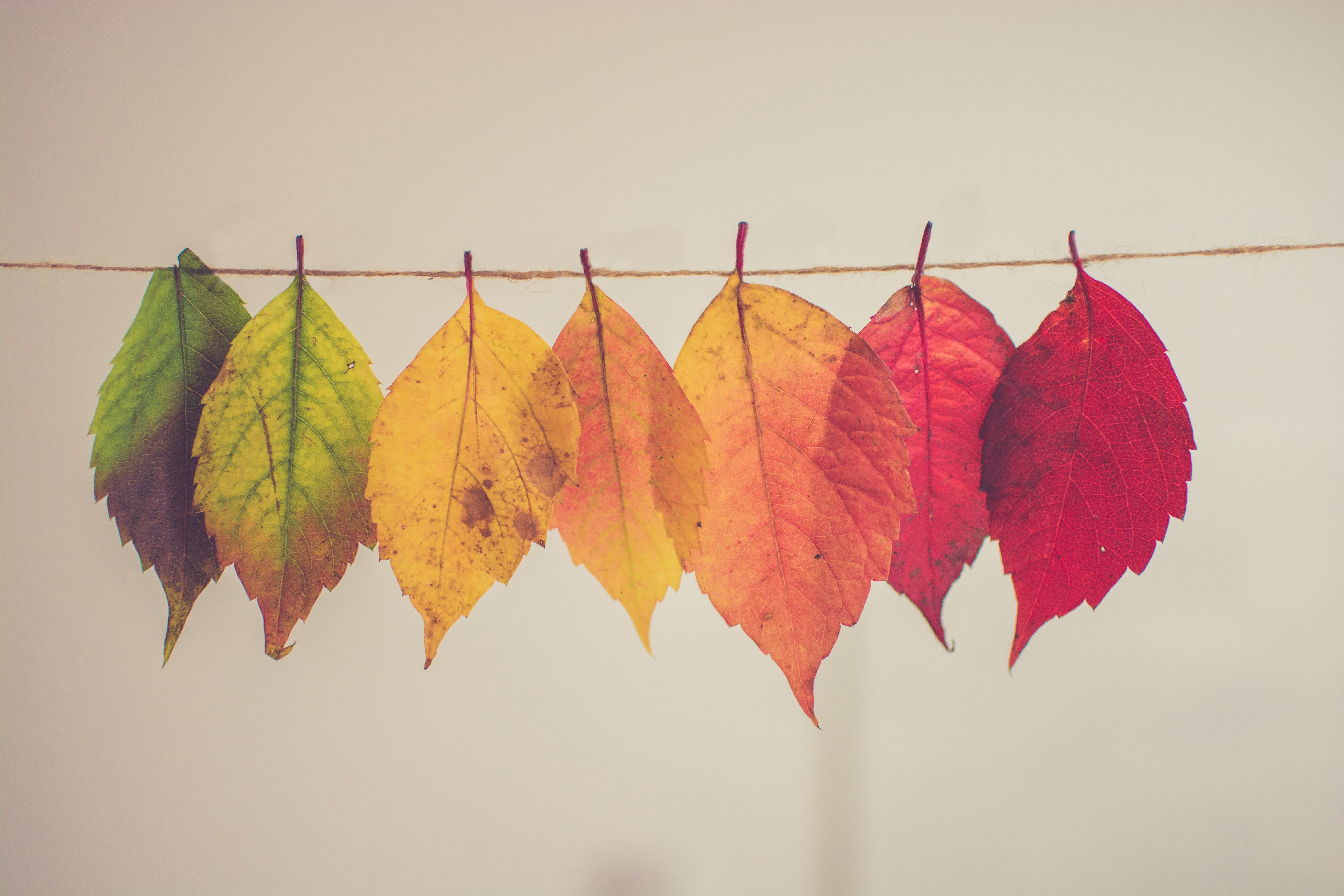 Helloooo Fall! Is your home ready? header image.