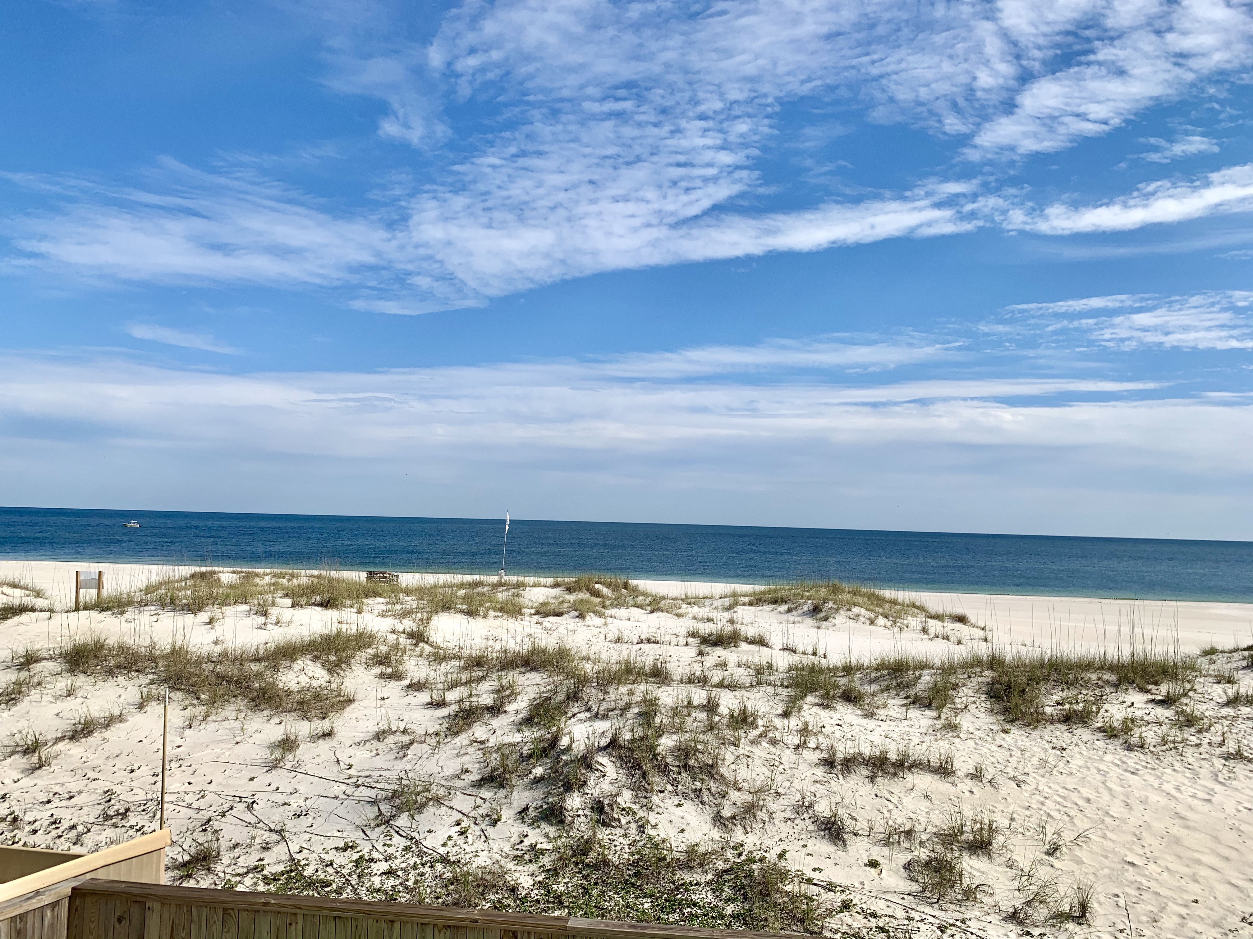 The BEACHES are OPEN! header image.