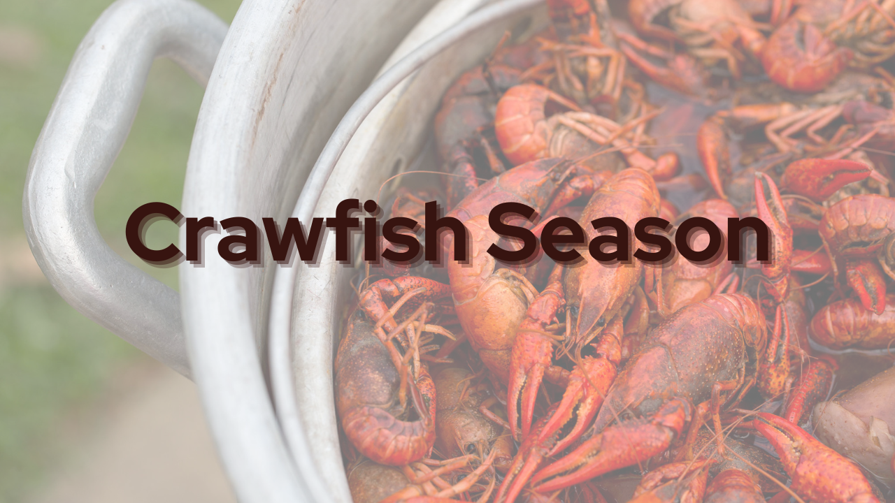 Crawfish Season is HERE header image.