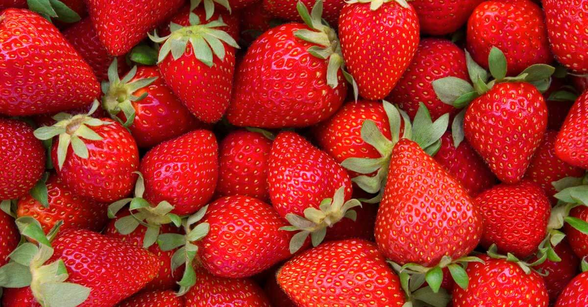 Berry Sweet Adventures: Where to Pick Strawberries Near Houston header image.