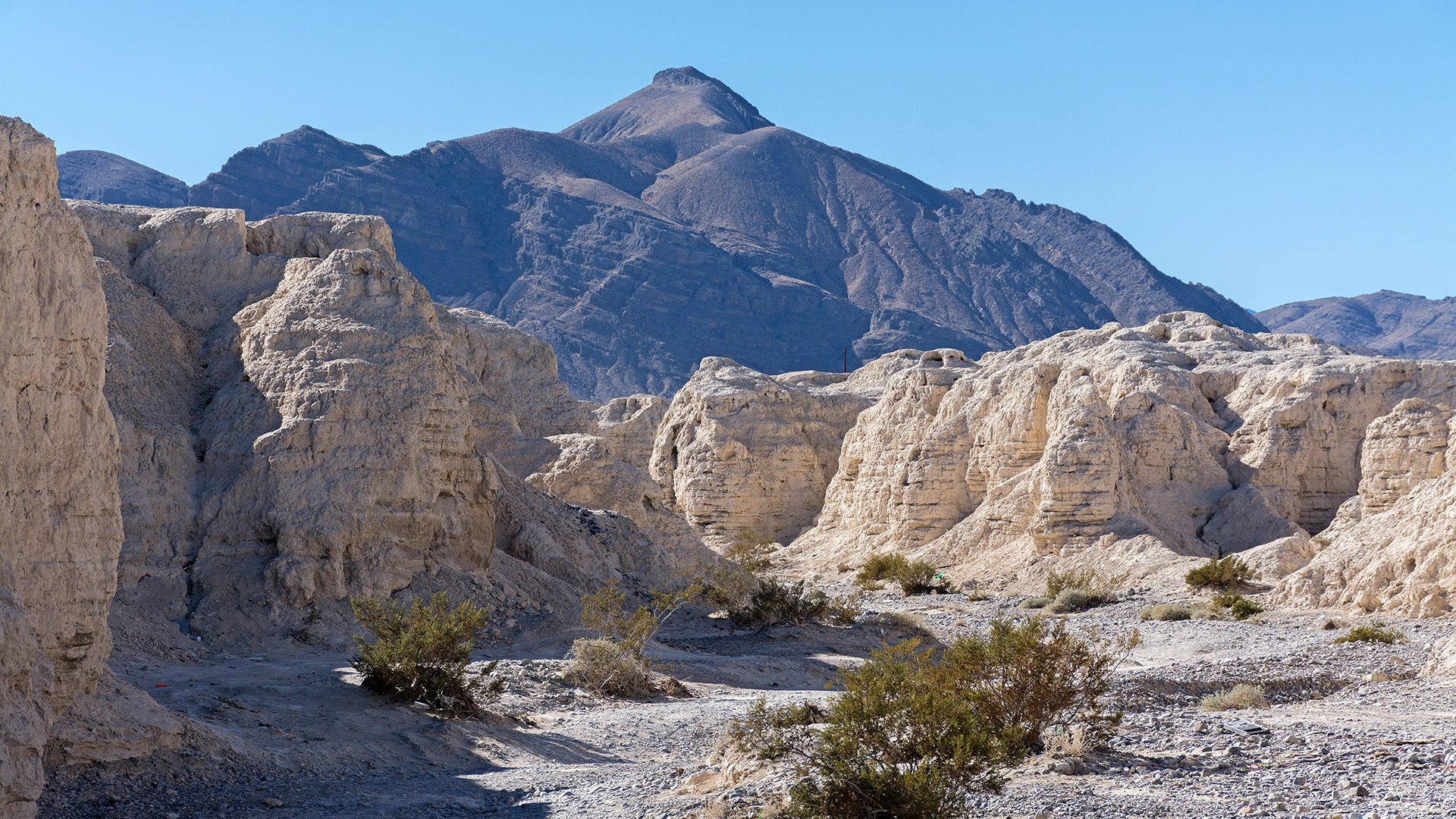 Tule Springs Ranch & Fossil Beds header image.