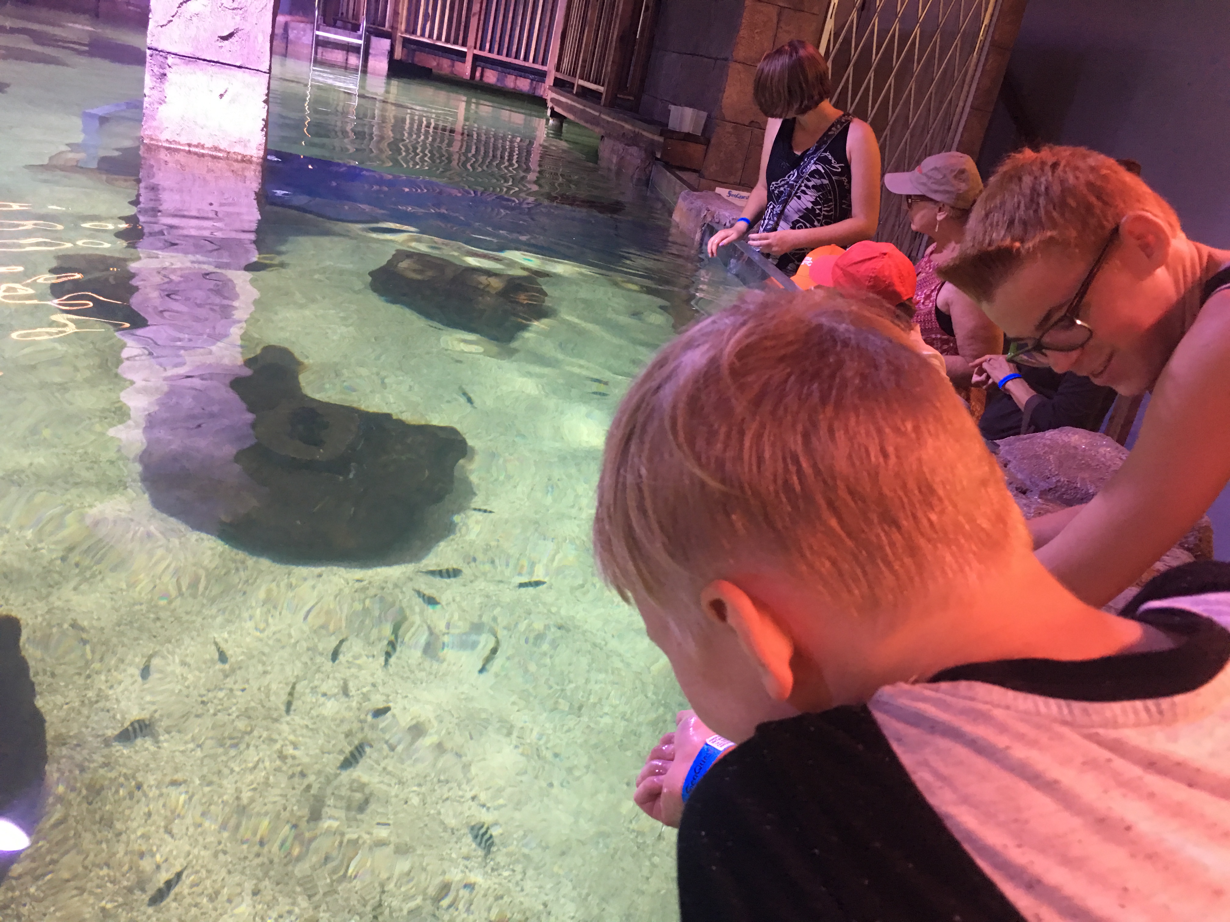 Things to do with the Kids header image.