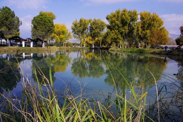 Floyd Lamb Park header image.