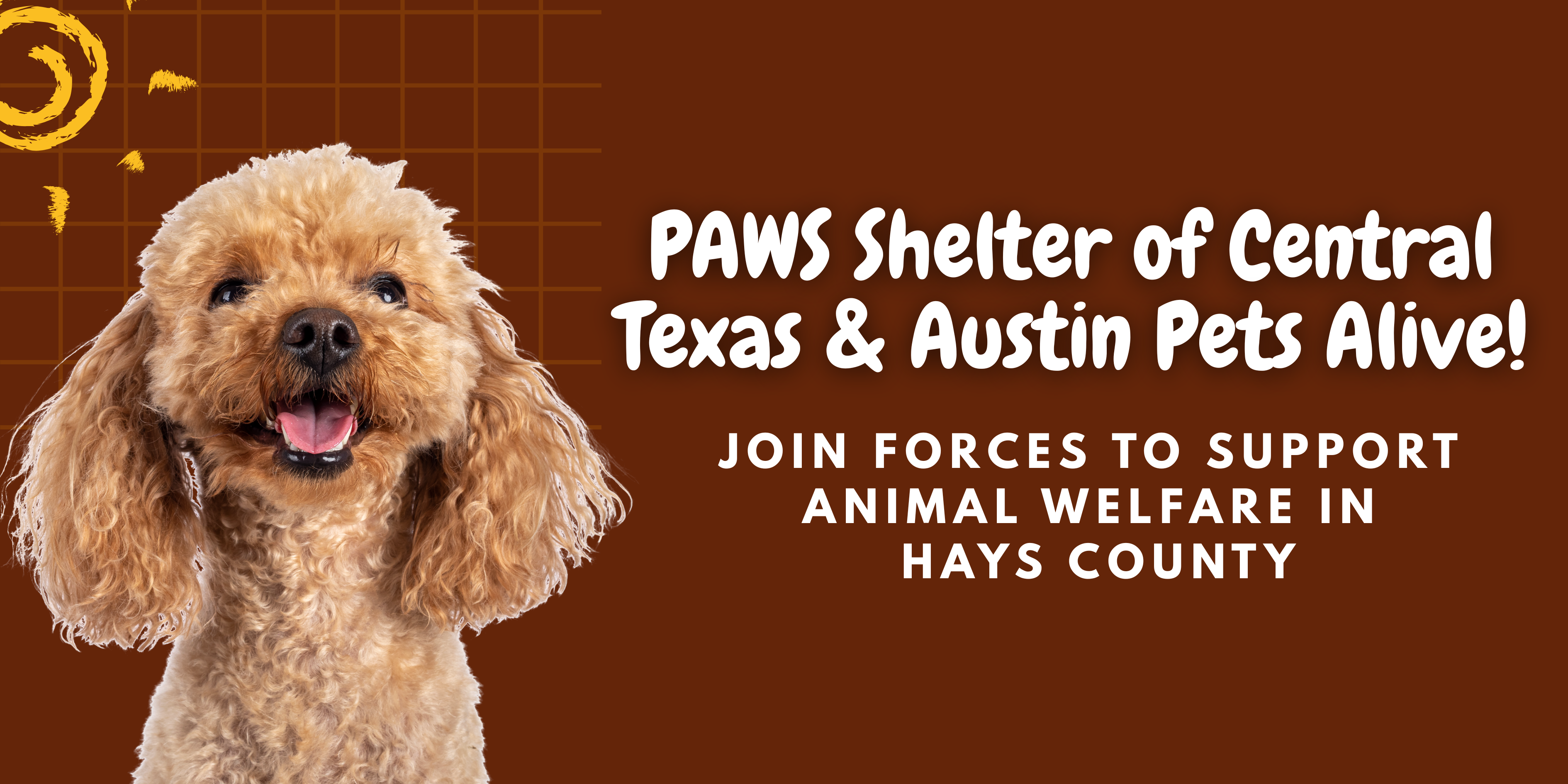 PAWS Shelter of Central Texas and Austin Pets Alive! Join Forces to Support Animal Welfare in Hays County header image.