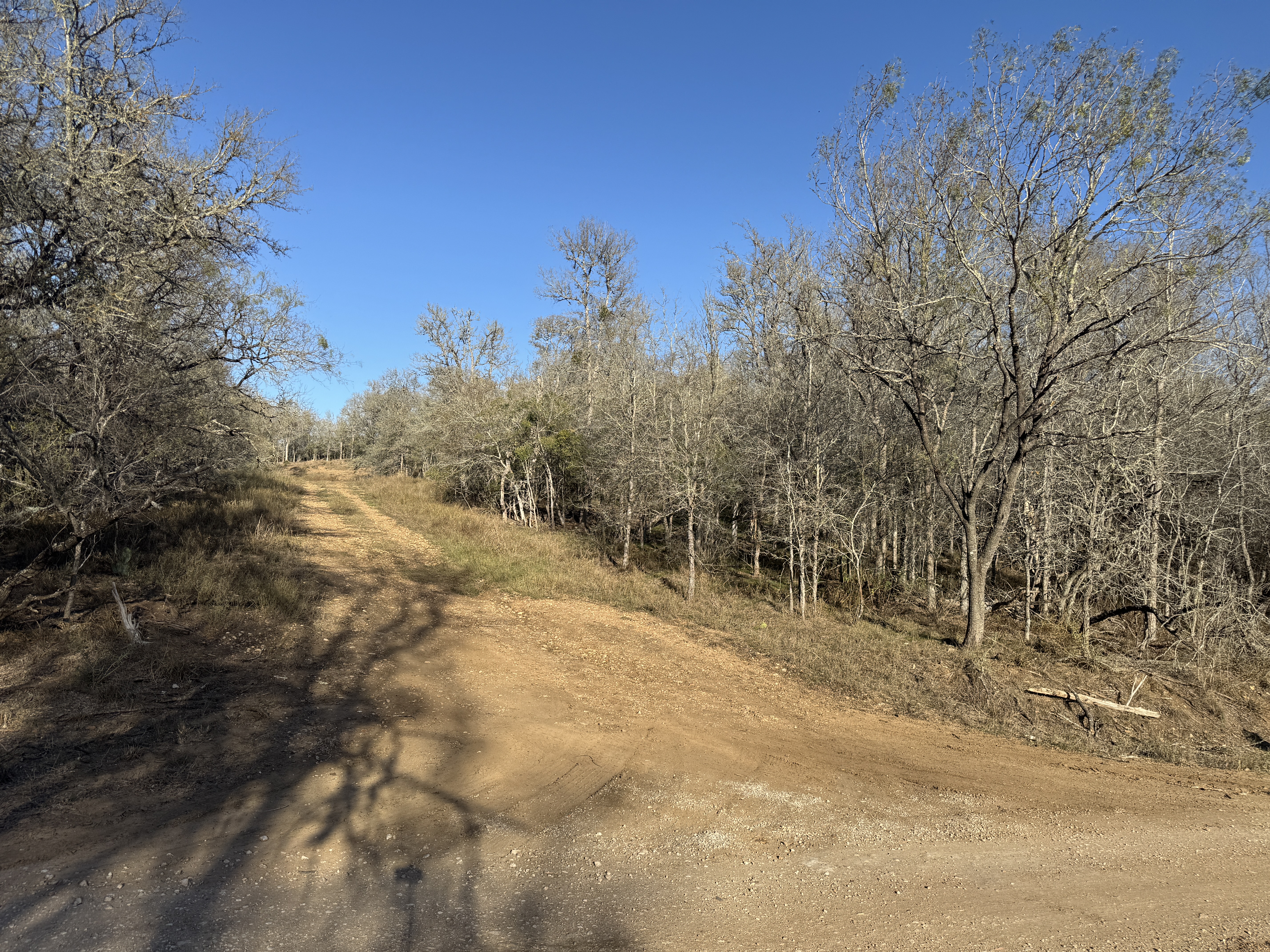 Your Future Homesite in Tahitian Village header image.