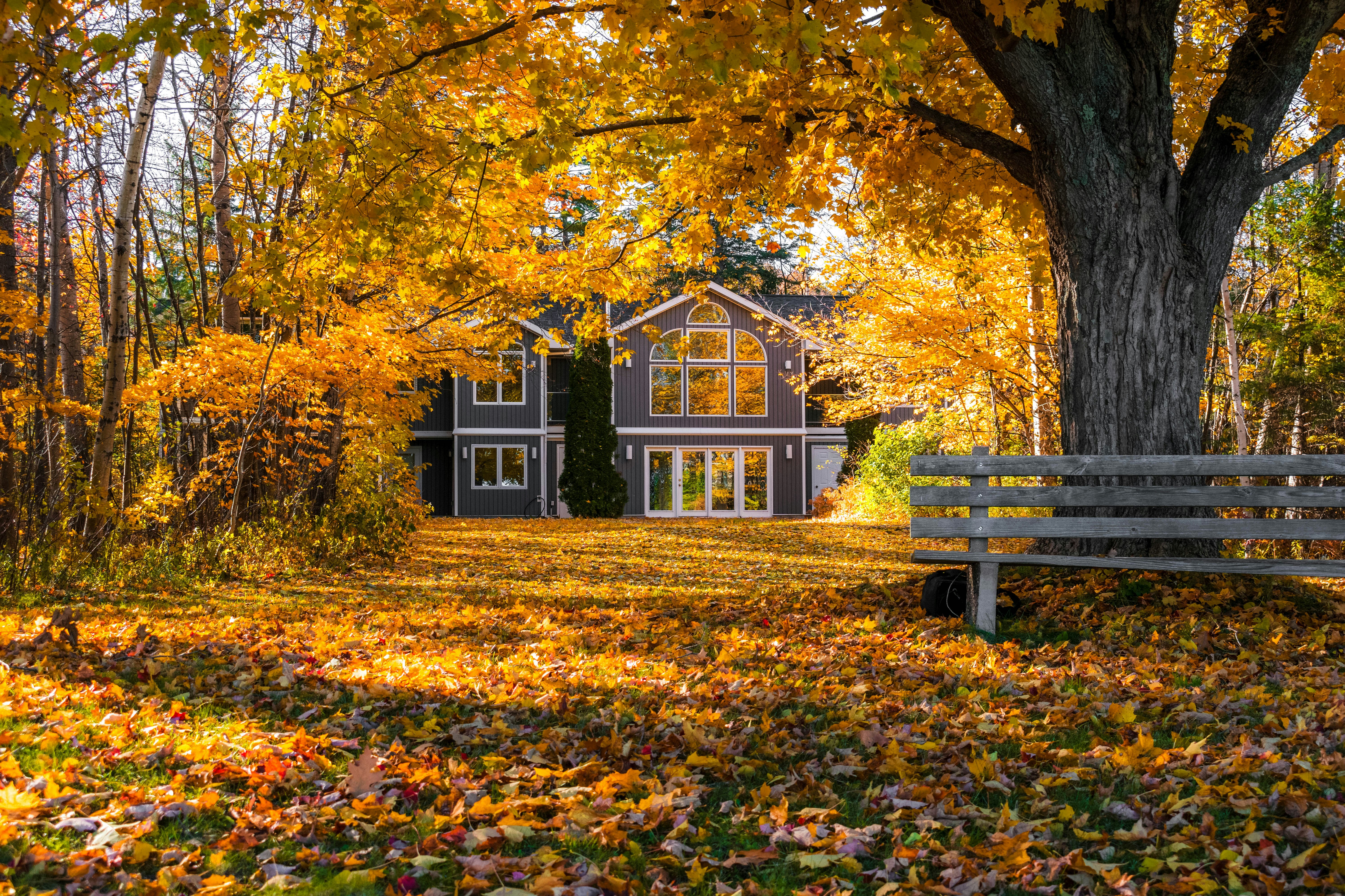 August Real Estate Market Report header image.