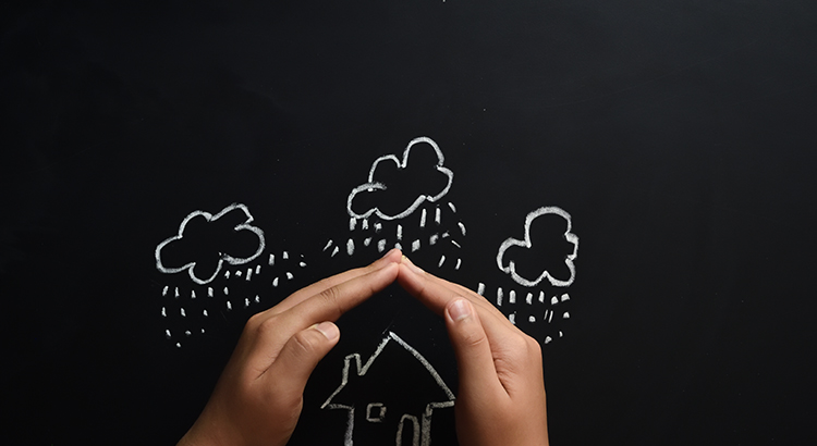 August Newsletter: Q & A Full Article. header image.