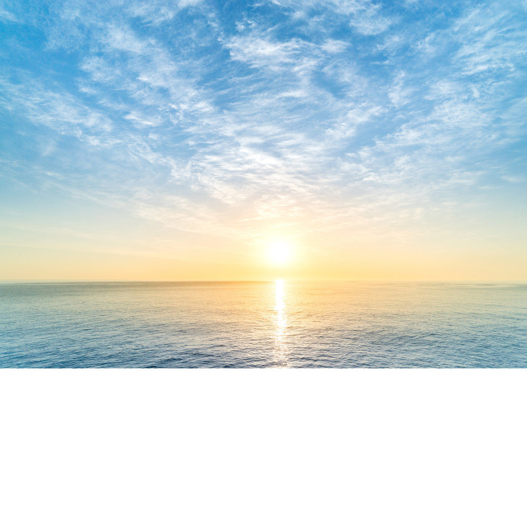 Update on Real World Mortgage Forbearance Experiences header image.