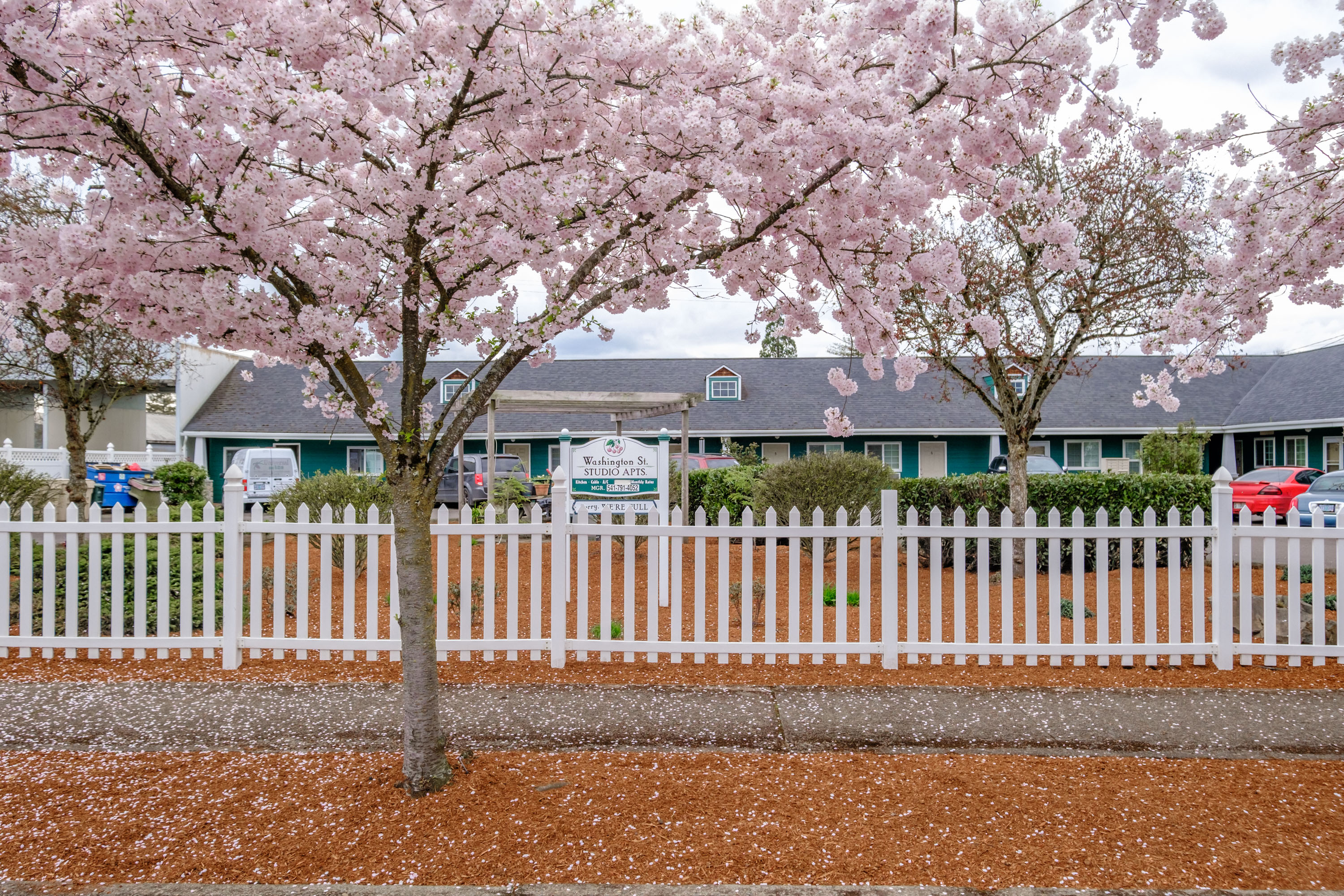 On the Fence of Whether or Not To Move This Spring in Oregon? Consider This. header image.