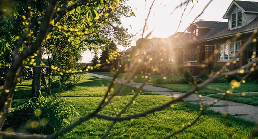 What Buyer Activity Tells Us About the Housing Market header image.