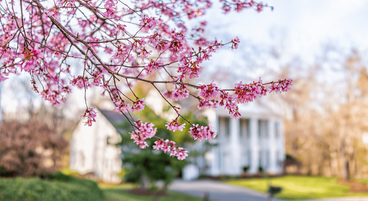 4 Ways To Make an Offer That Stands Out This Spring header image.