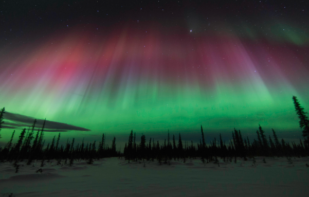 The Northern Lights in Alaska: A Once-in-a-Lifetime Backyard Experience header image.