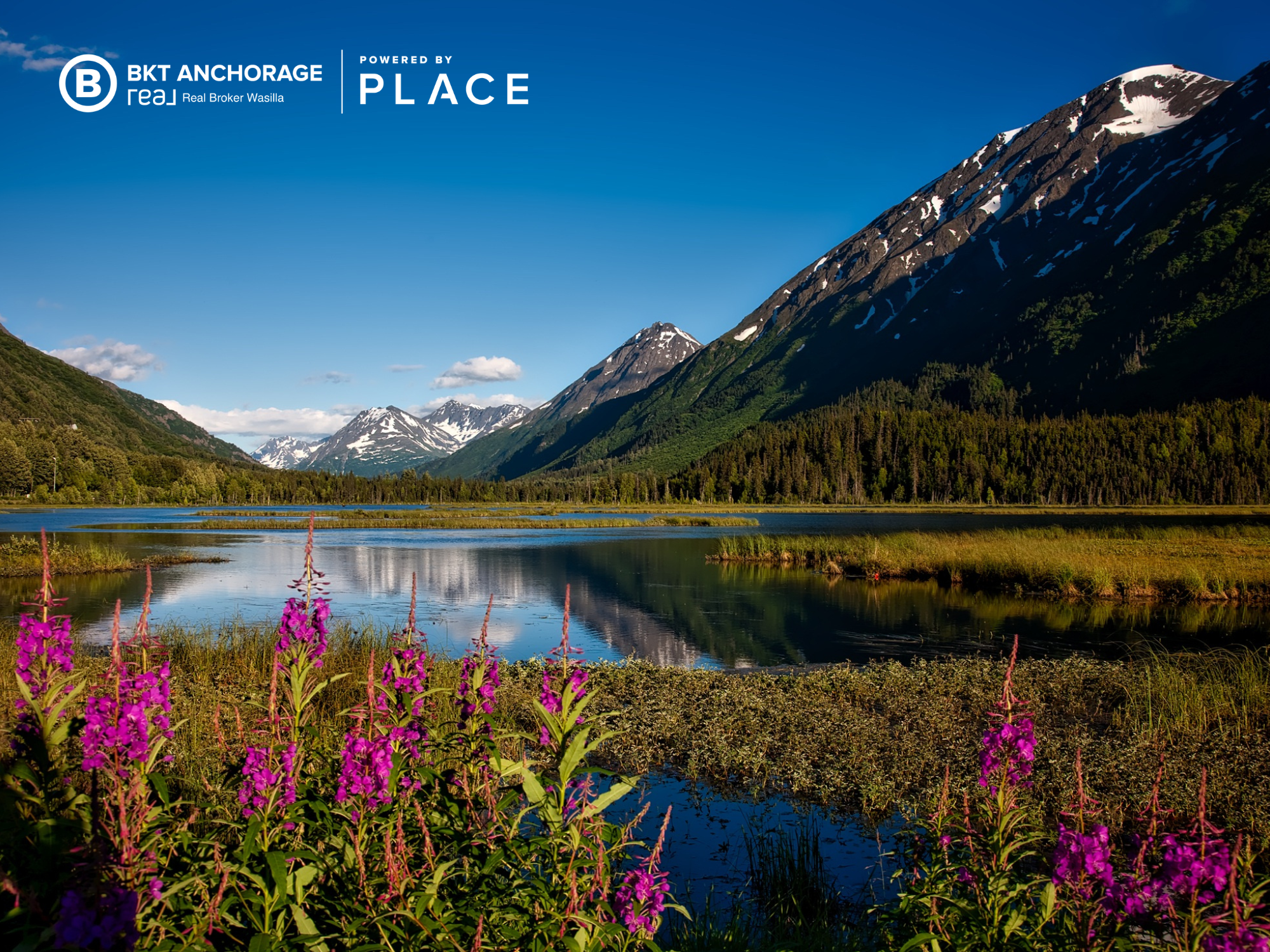 photo of an alaska mountain range with fireweed growing