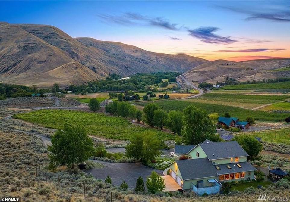 UK Daily Mail -  Ellensburg Vineyard Estate header image.