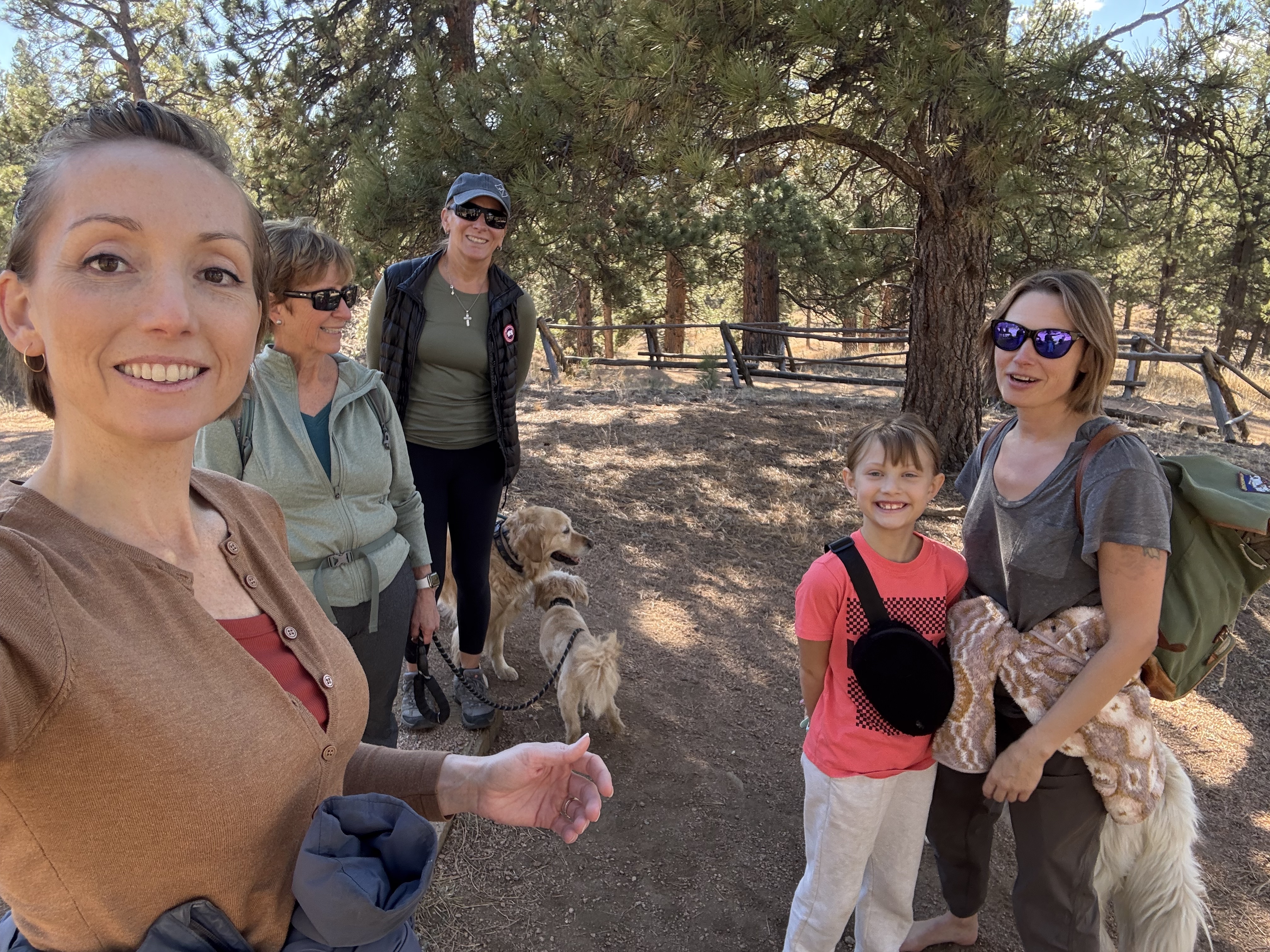 11-20-2025 Finding Gratitude in the Chaos, Kittens, and Colorado Foothills Life header image.