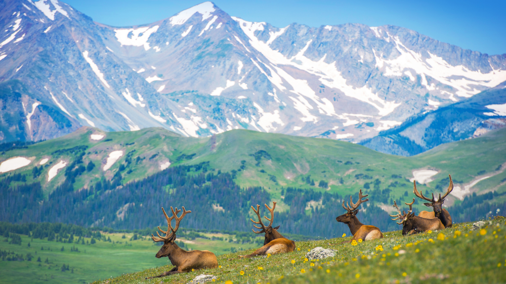 Why Winter Is the Perfect Time to Buy Your Dream Mountain Home header image.