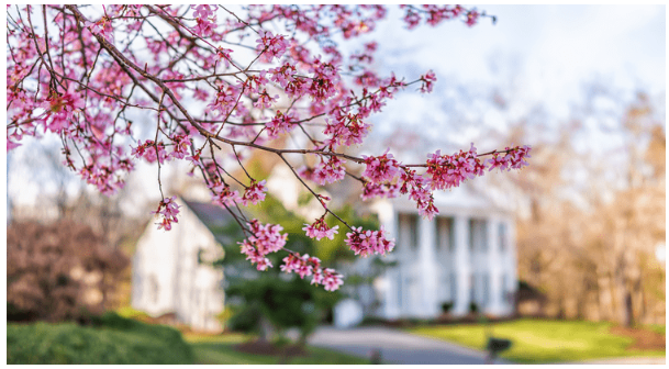 4 Ways To Make an Offer That Stands Out This Spring header image.