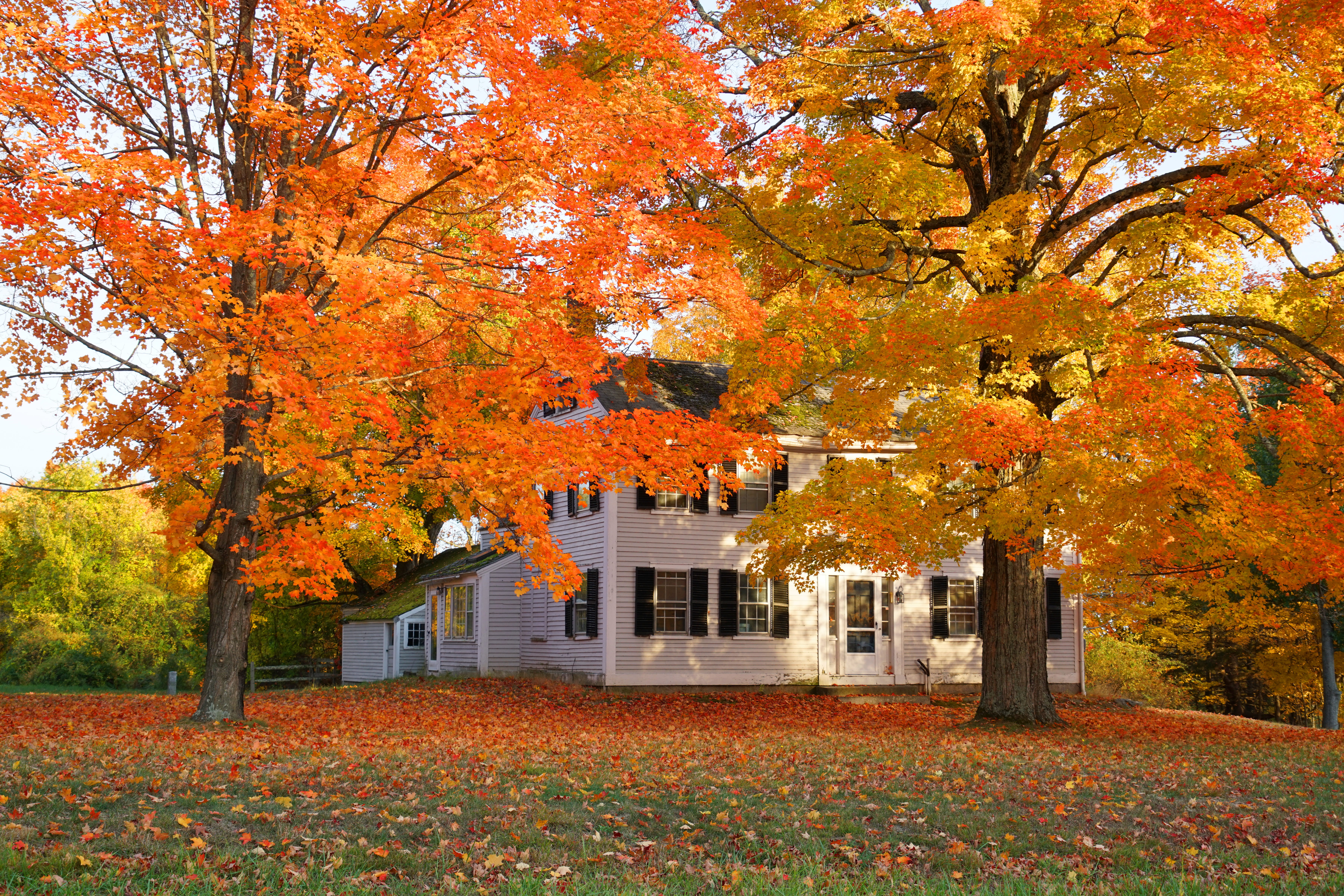 Fall Home Maintenance: 7 Things Every Charlotte Homeowner Should Do Before Winter header image.