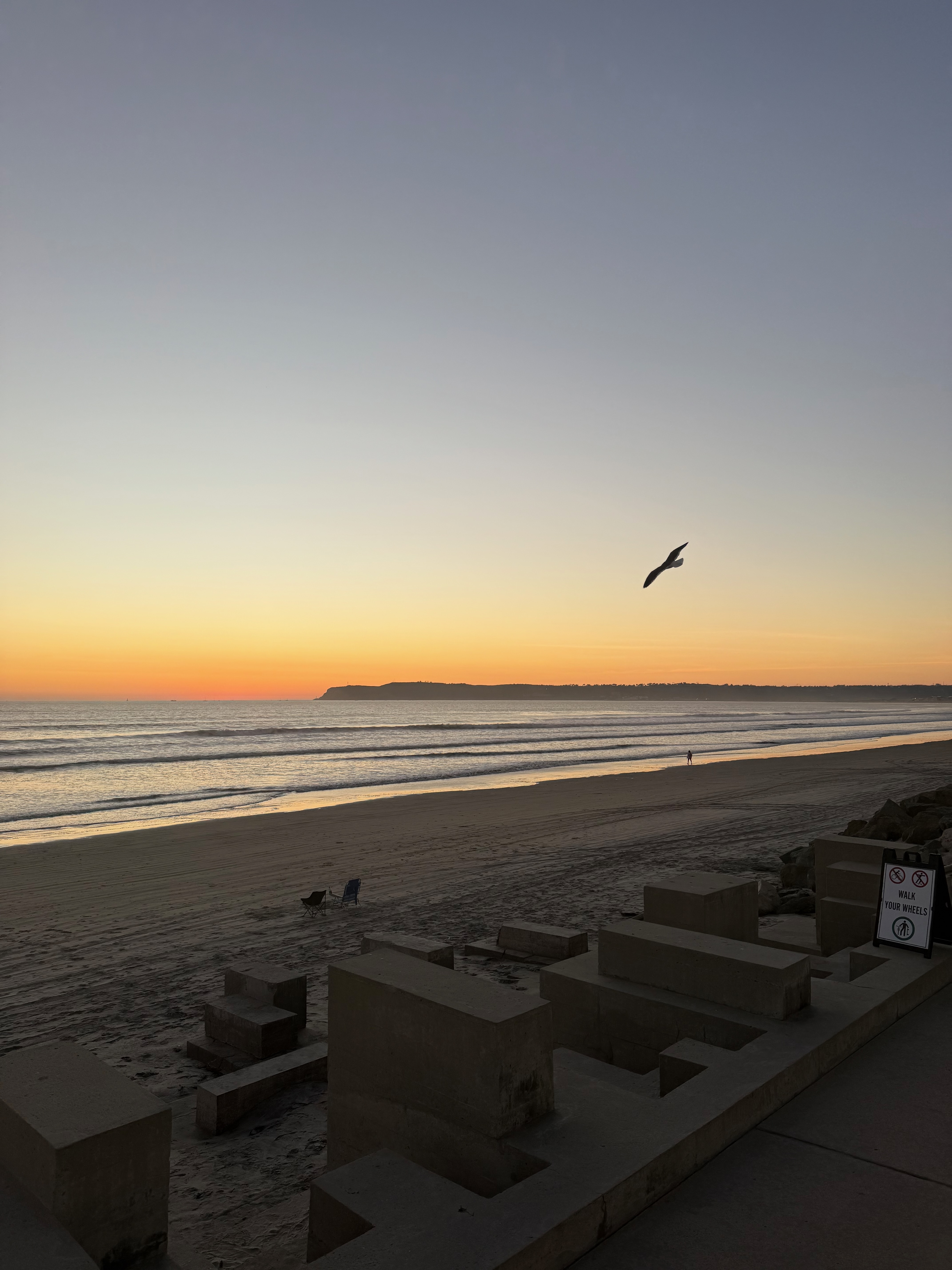 Sunset at Coronado Beach with seagull and point loma