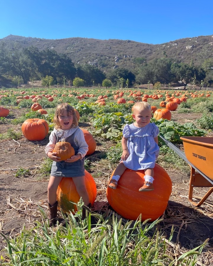 2022 San Diego Pumpkin Patch Guide header image.