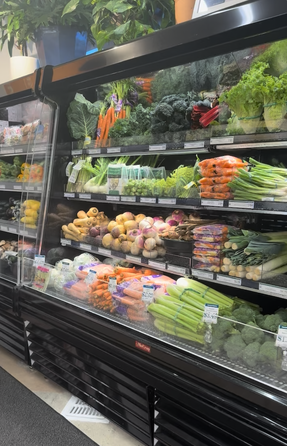 Discover Sun Coast Market — Imperial Beach’s Newest Neighborhood header image.