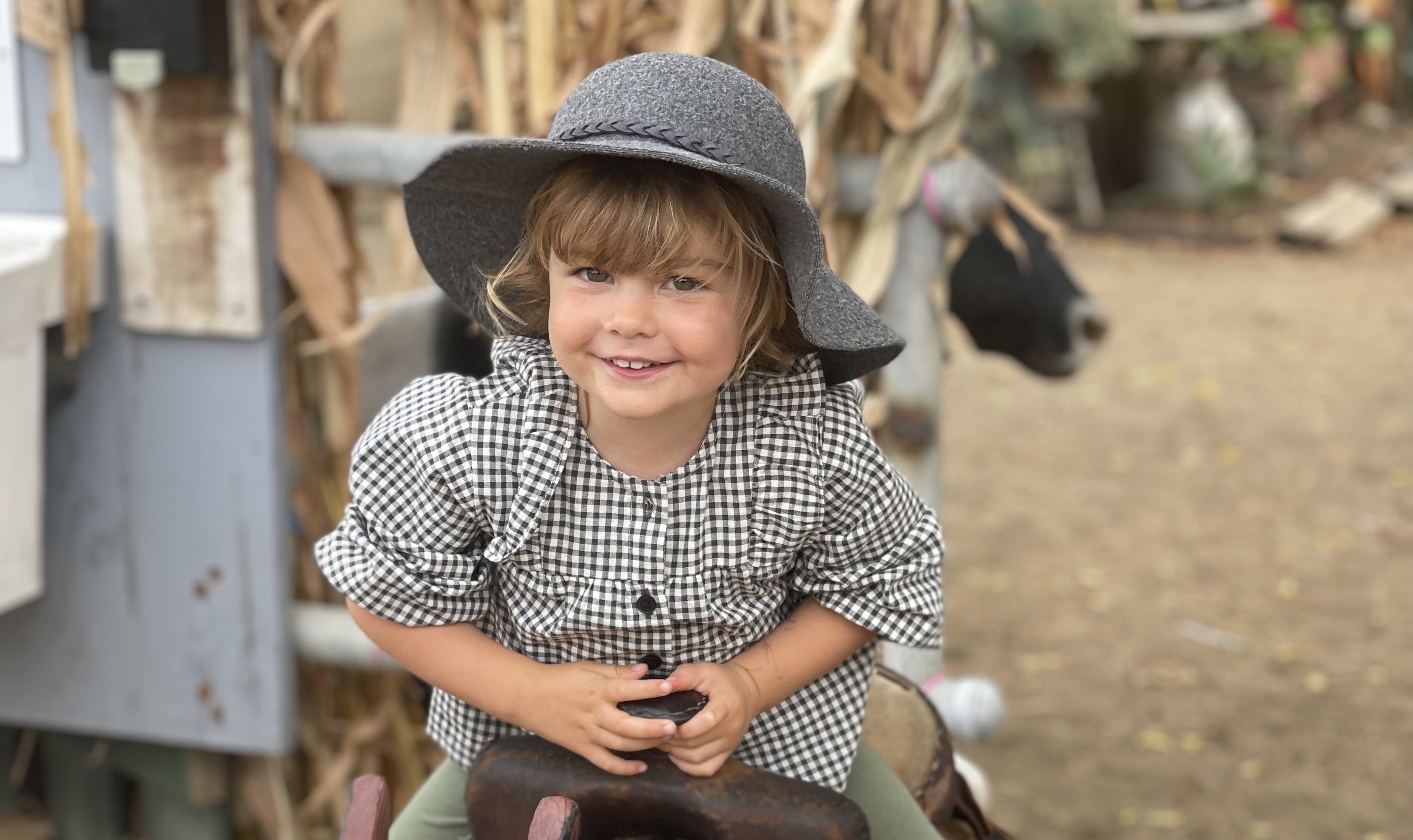 San Diego County Pumpkin Patch Guide header image.