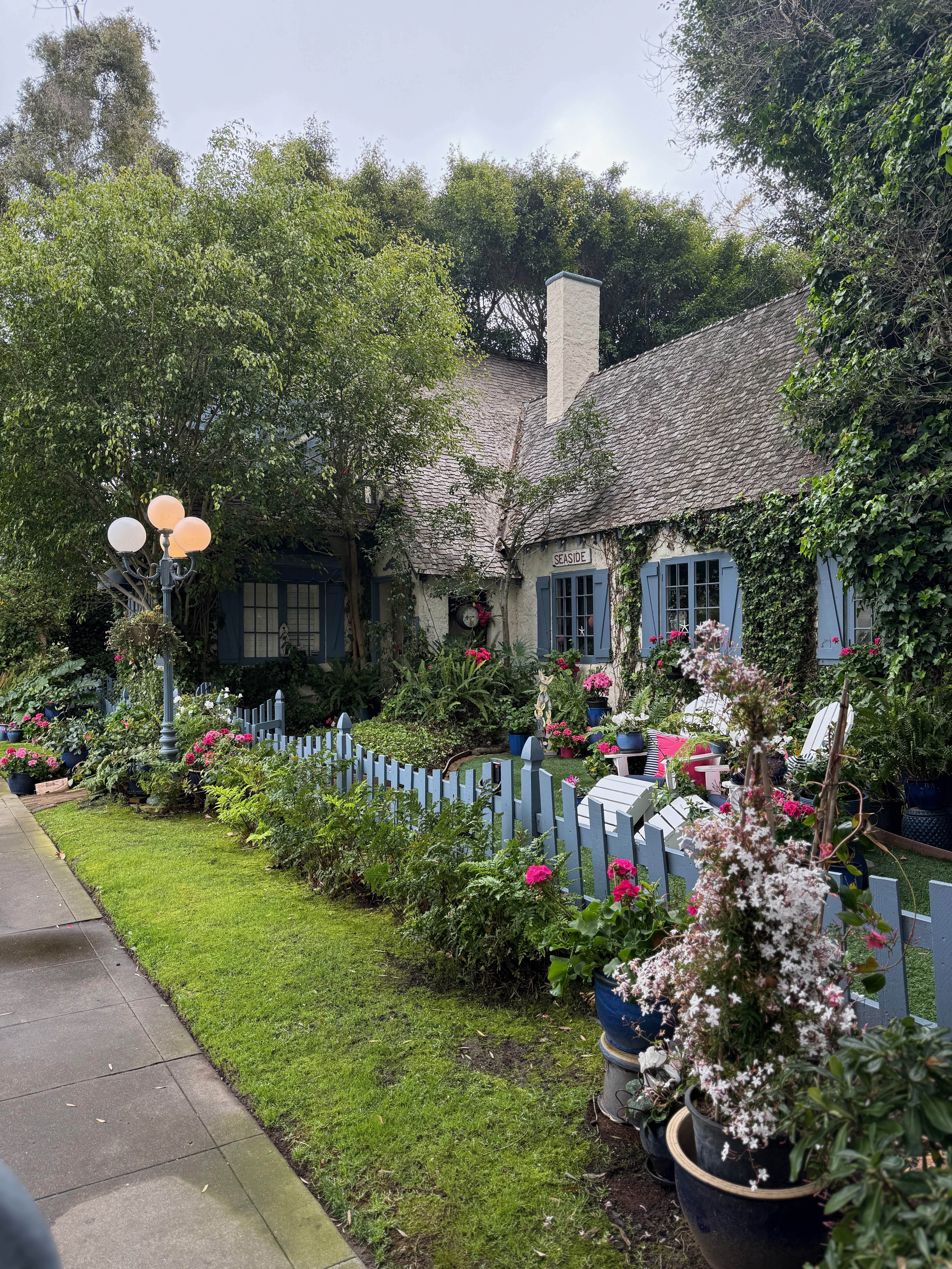 Coronado Flower Show 2026: What to Know Before You Go header image.