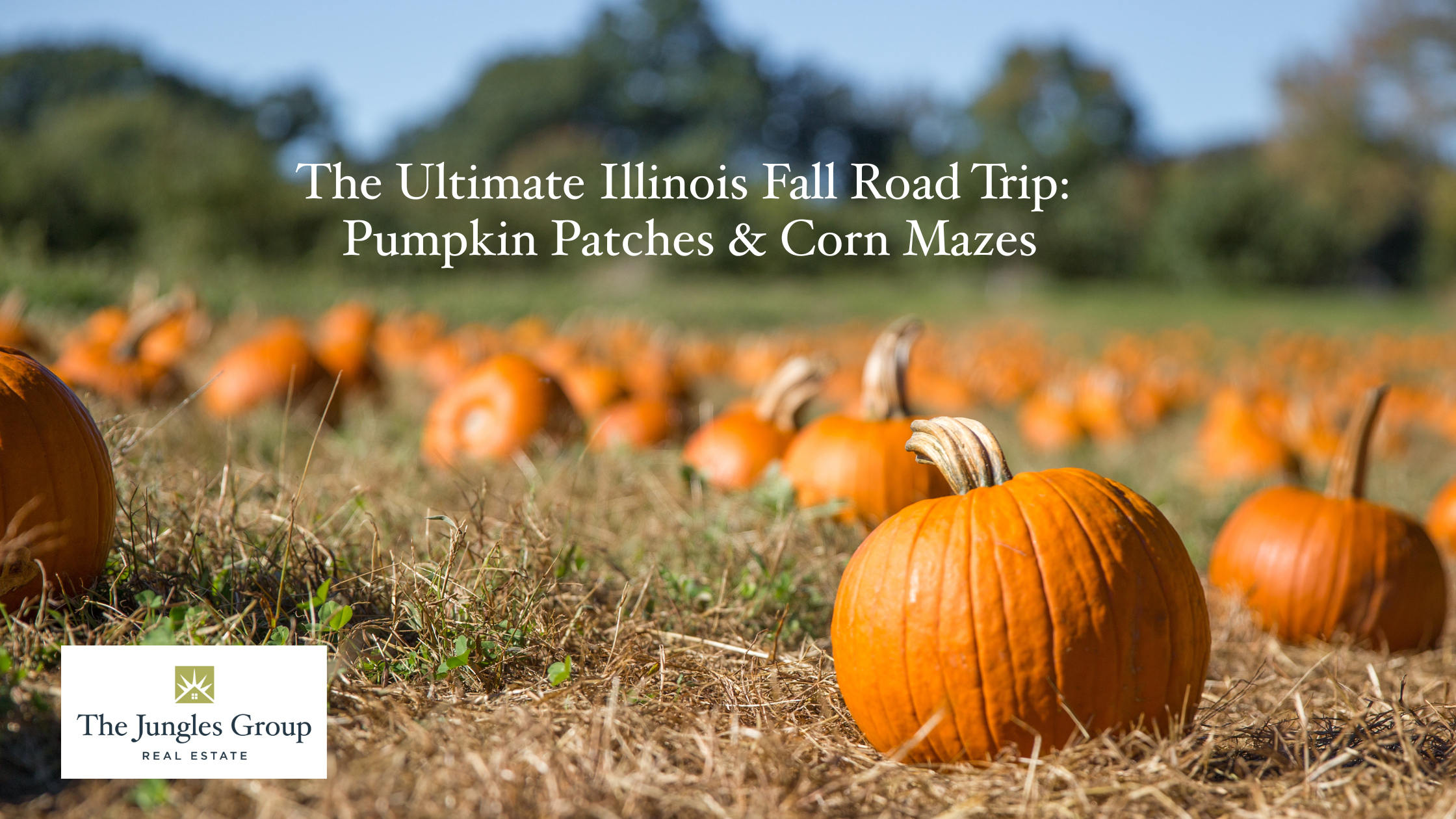 Illinois pumpkin patches and corn mazes