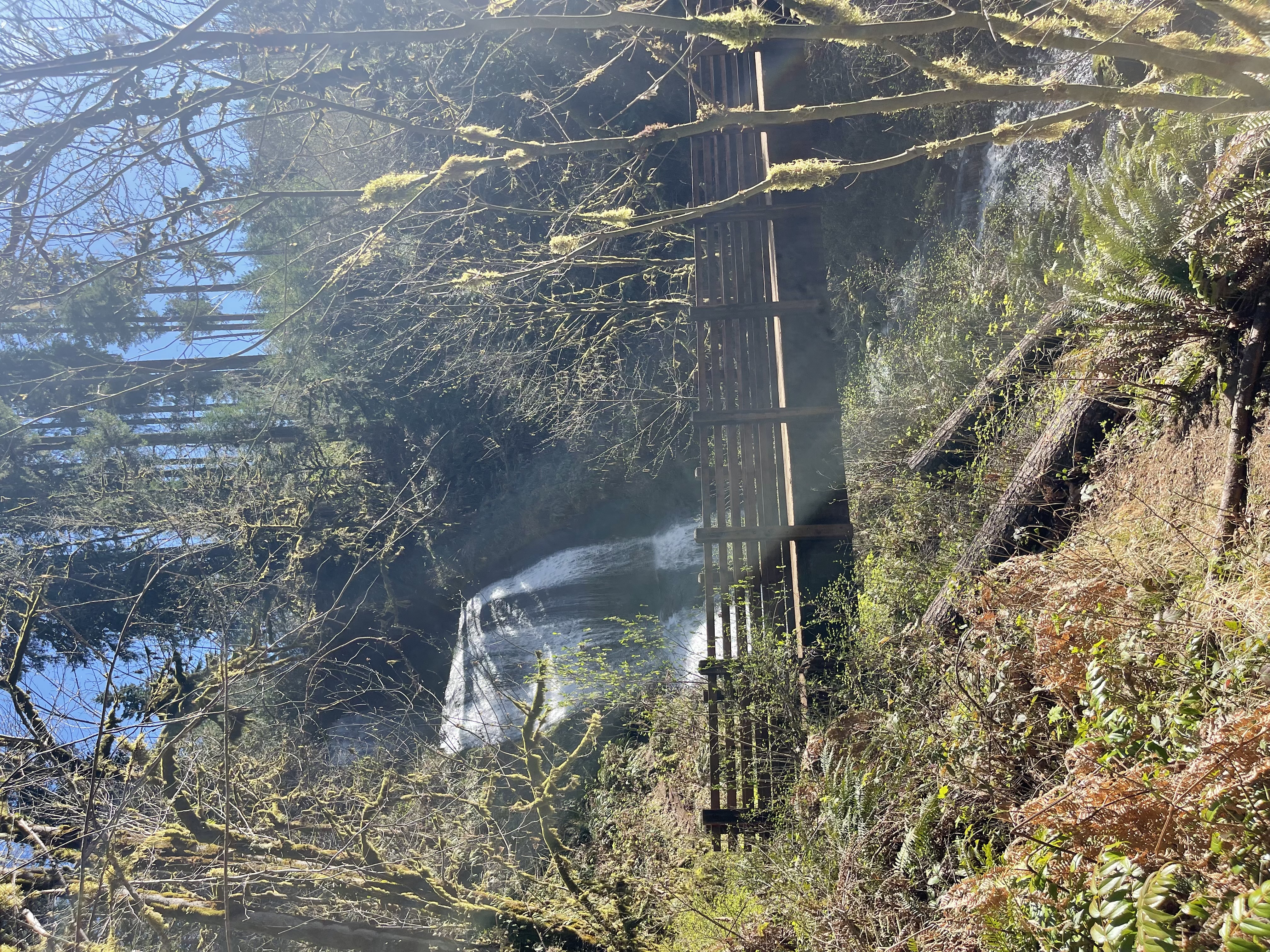 Living in Sweet Home, Oregon: A Mountain Gateway with a Heart of Gold header image.