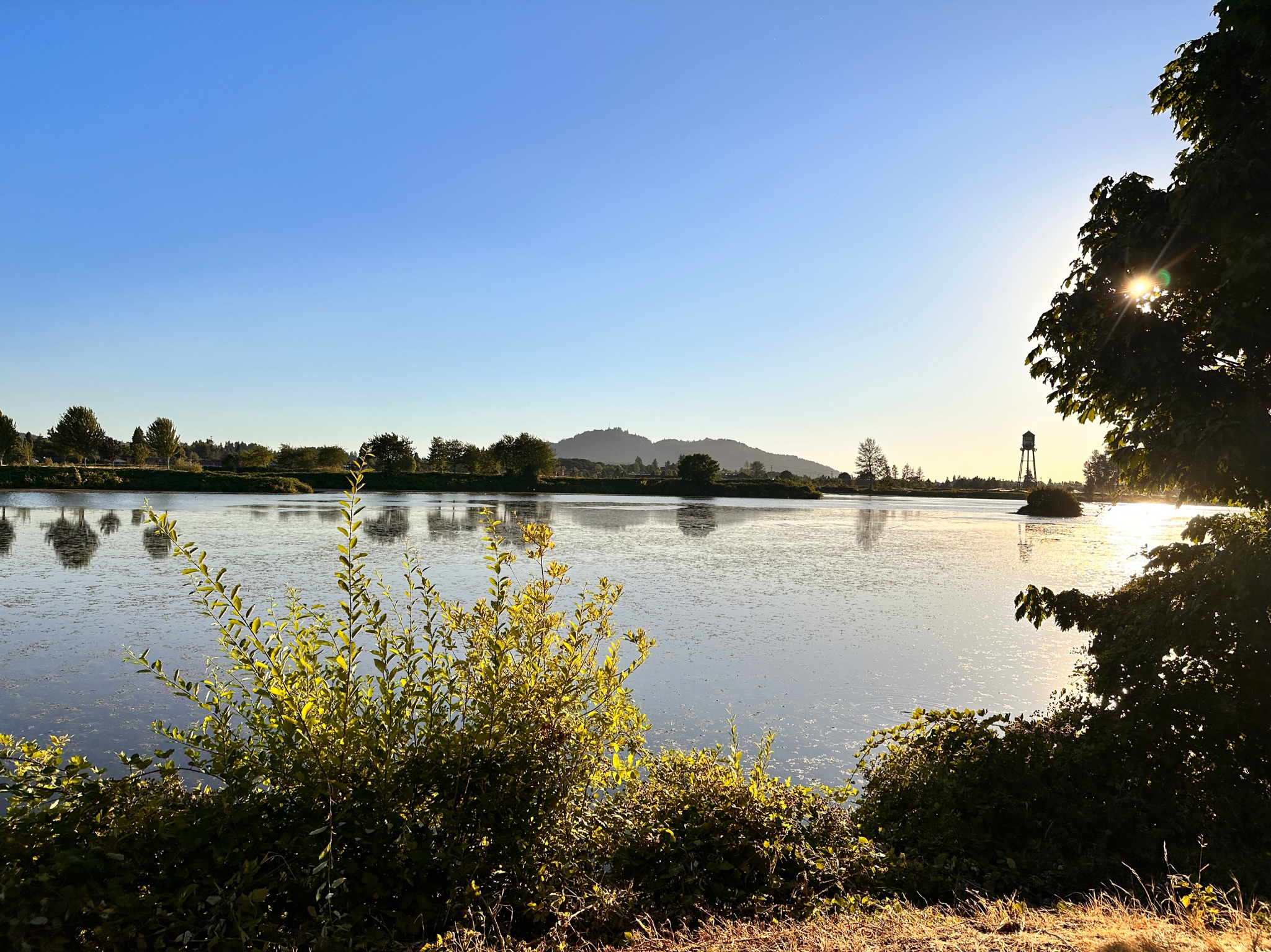 Cheadle Lake Lebanon