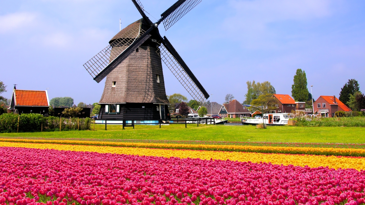 Spring Market Trends: What to Expect in 2025 header image.