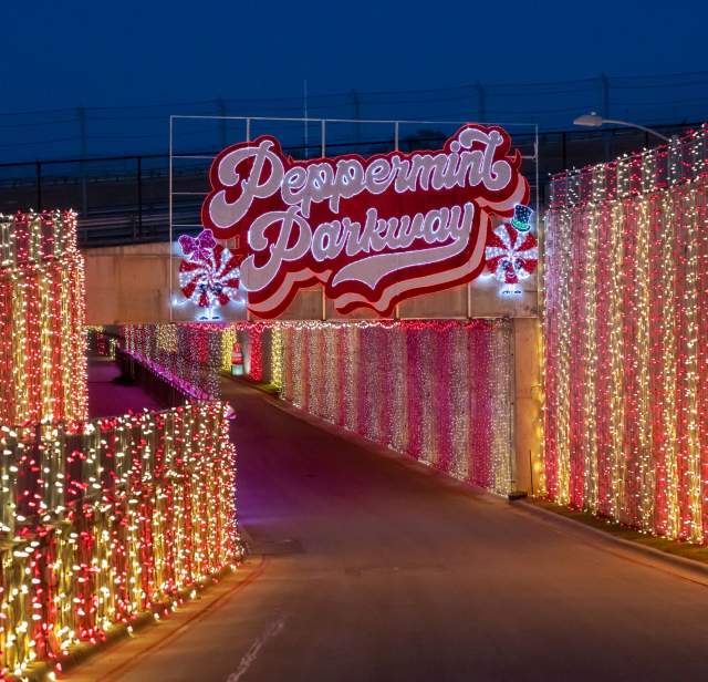 25+ Best Things to Do in Austin This December 2025